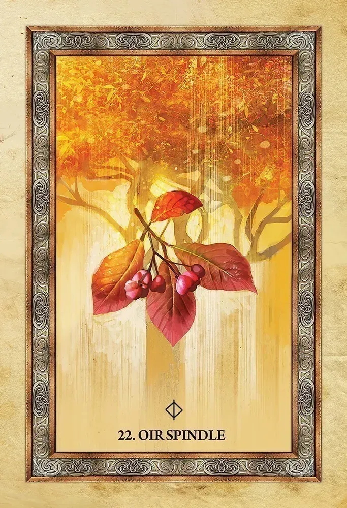 Celtic Tree Oracle Cards